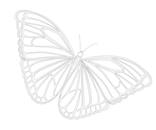 Illustration De Papillon Vecteur Contour Noir Isolé Sur Fond Blanc Pour Cahier De Coloriage