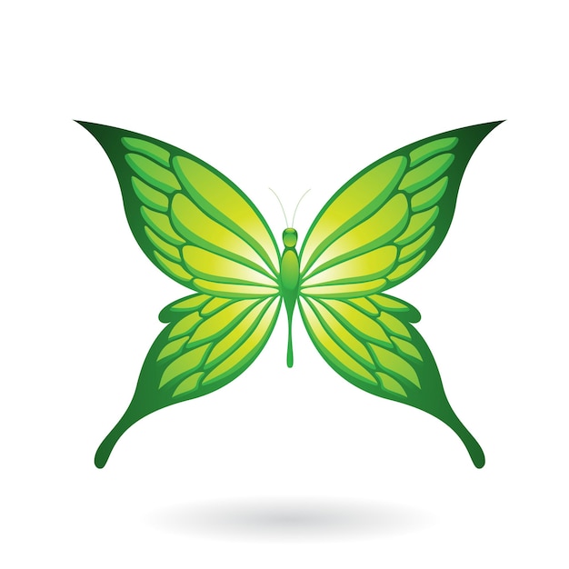 Vecteur illustration de papillon vert avec des ailes pointues