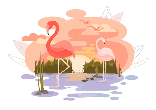 Illustration De Paysage Avec Un Lac Au Coucher Du Soleil Avec Des Flamants Roses Dans L'eau Et En Vol.