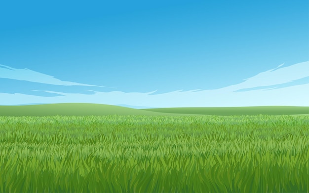 Illustration de paysage de prairie aux beaux jours