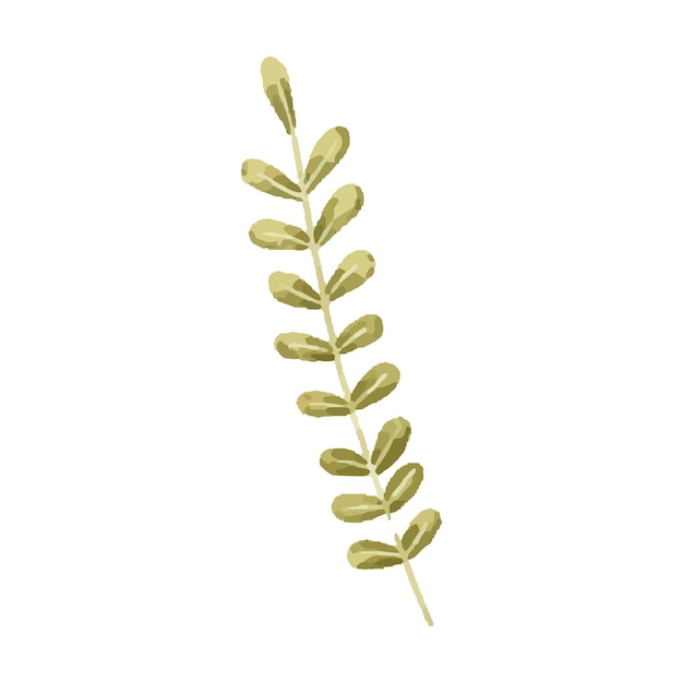 Illustration peinte à la main avec congé de branche Illustration à base de plantes