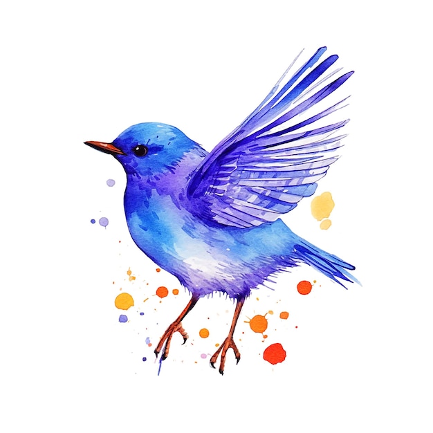 Illustration de peinture aquarelle bel oiseau