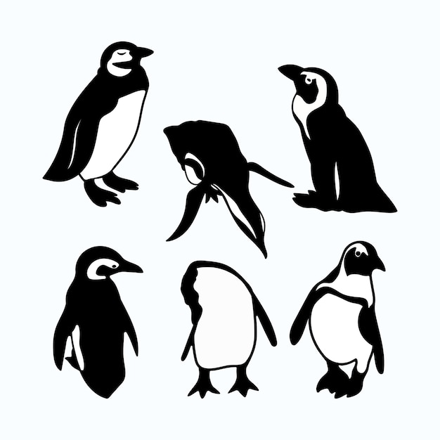Illustration de personnage de dessin animé de vecteur de pingouin Éléments isolés graphiques