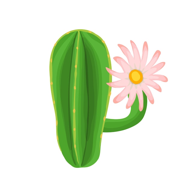 Illustration De Plante De Cactus