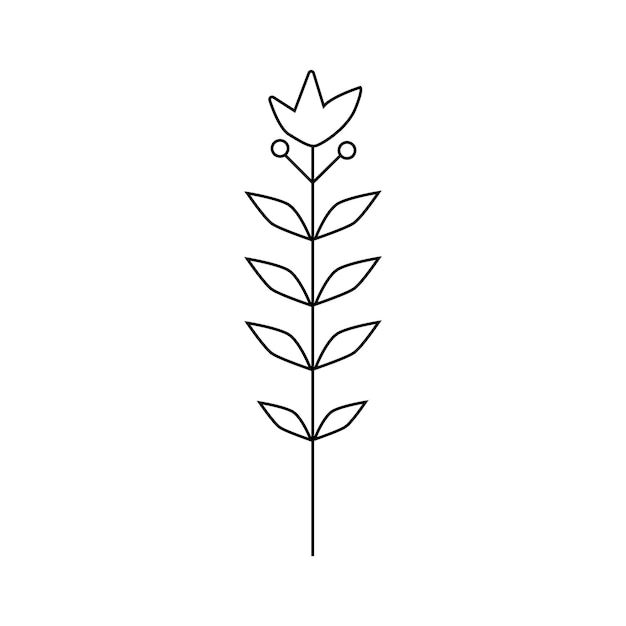 Illustration De Plante Dessinée à La Main