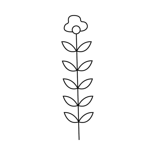 Illustration De Plante Dessinée à La Main