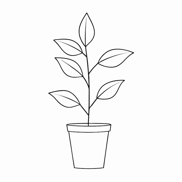 Vecteur illustration de plante sur fond blanc