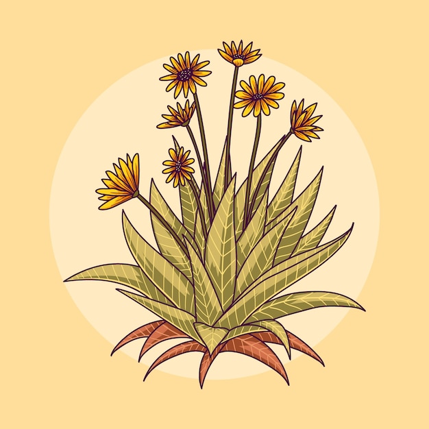 Vecteur illustration de la plante frailejon