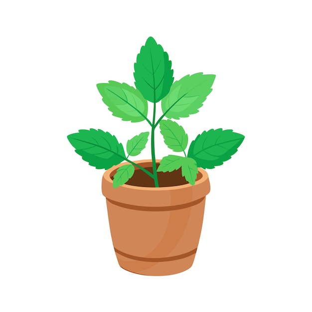Illustration d'une plante d'intérieur dans un pot