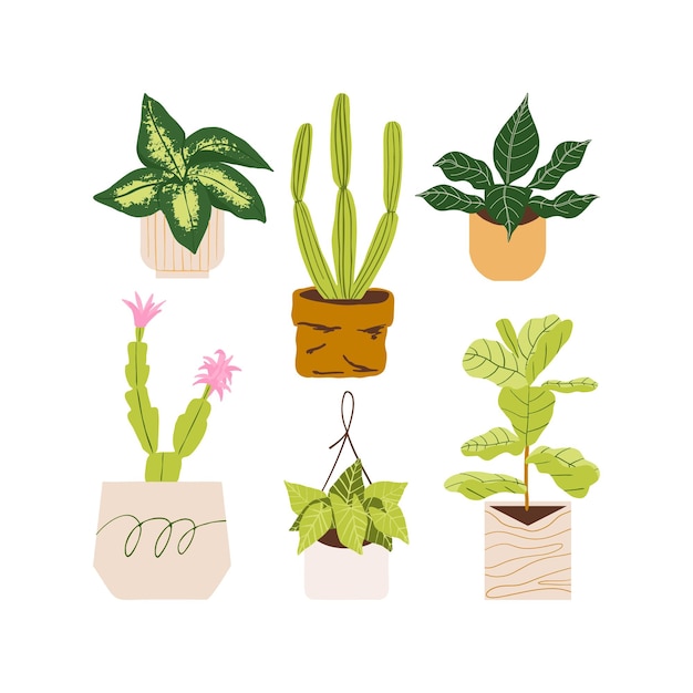 Illustration De Plantes De Décoration à La Mode Cactus Monstera Feuilles Tropicales Dans Des Jardinières Et Des Pots élégants