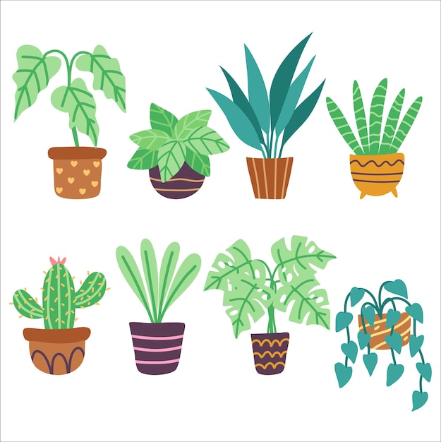 Illustration Plate De Collection De Plantes à La Maison