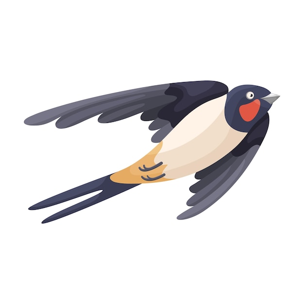 Vecteur illustration plate de dessin animé d'un oiseau hirondelle volant
