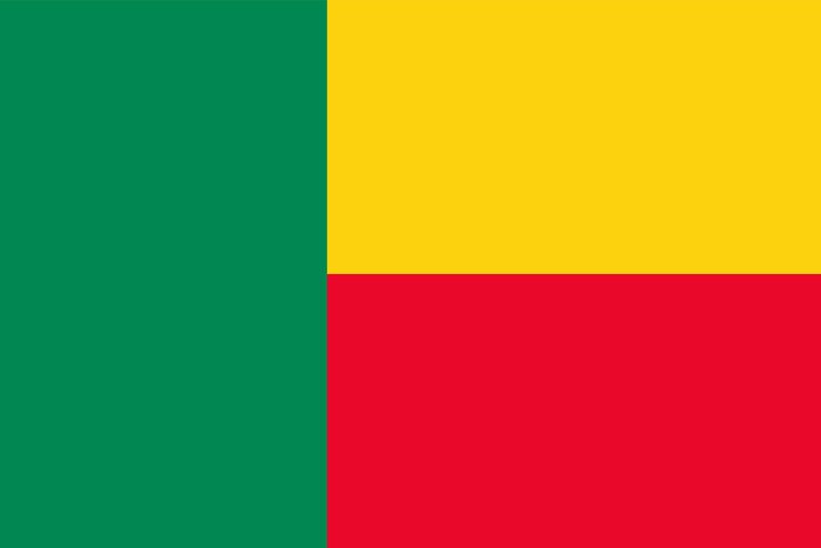 Vecteur illustration plate du drapeau national du bénin