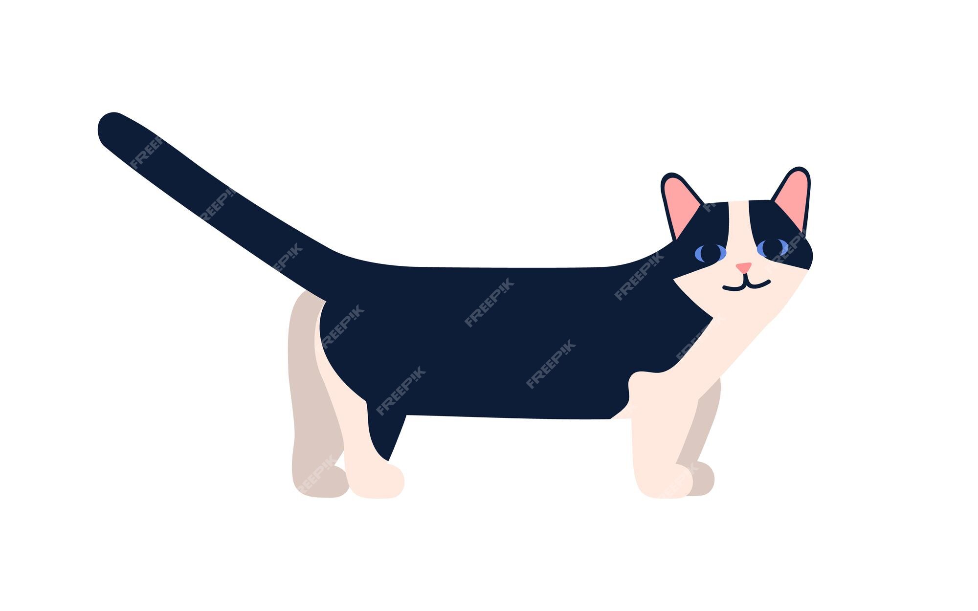 Illustration Plate De Vecteur De Race De Chat Munchkin Animal De Compagnie A Pattes Courtes De Dessin Anime Avec Queue Surelevee Isole Sur Fond Blanc Elevage D Animaux D Ami Domestique Mignon Vecteur Illustration Plate De Vecteur De Race De Chat Munchkin Animal De Compagnie A Pattes Courtes De Dessin Anime Avec Queue Surelevee Isole Sur Fond Blanc Elevage D Animaux D Ami Domestique Mignon Vecteur