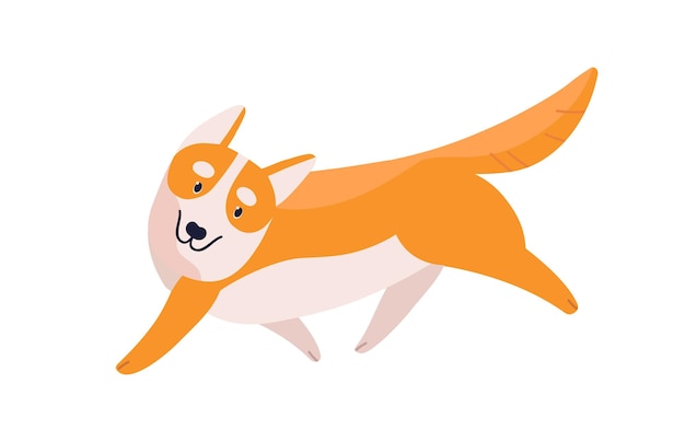 Illustration plate de vecteur de race de chien corgi gallois de dessin animé amical. Souriant en cours d'exécution animal de couleur orange et blanc isolé sur fond blanc. Joli petit animal domestique avec de grandes oreilles et des pattes courtes.