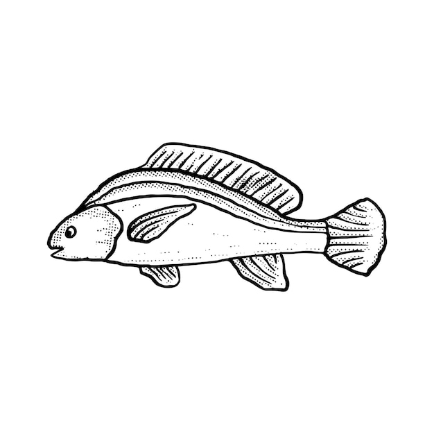 Illustration De Poisson Dessin Animé Dessiné à La Main Croquis Vecteur De Style Vintage Lineart