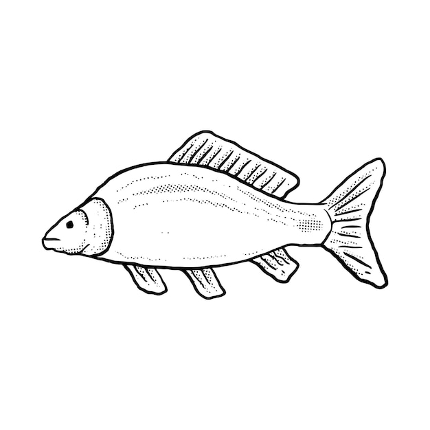 Vecteur illustration de poisson dessin animé dessiné à la main croquis vecteur de style vintage lineart