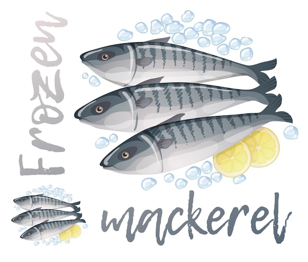 Vecteur illustration de poisson maquereau congelé dessin animé vectoriel icône de fruits de mer frais isolée sur fond blanc
