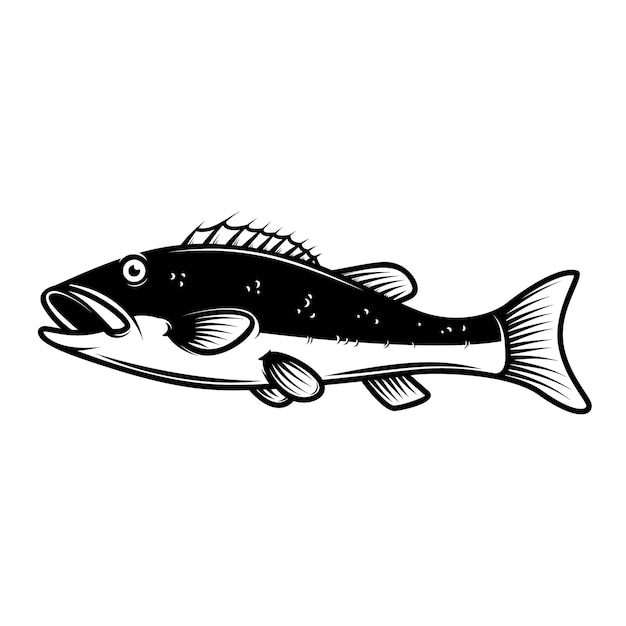 Illustration De Poisson Perche. élément De Design Pour Affiche, Emblème, Signe, Logo, étiquette, Flyer. Illustration Vectorielle