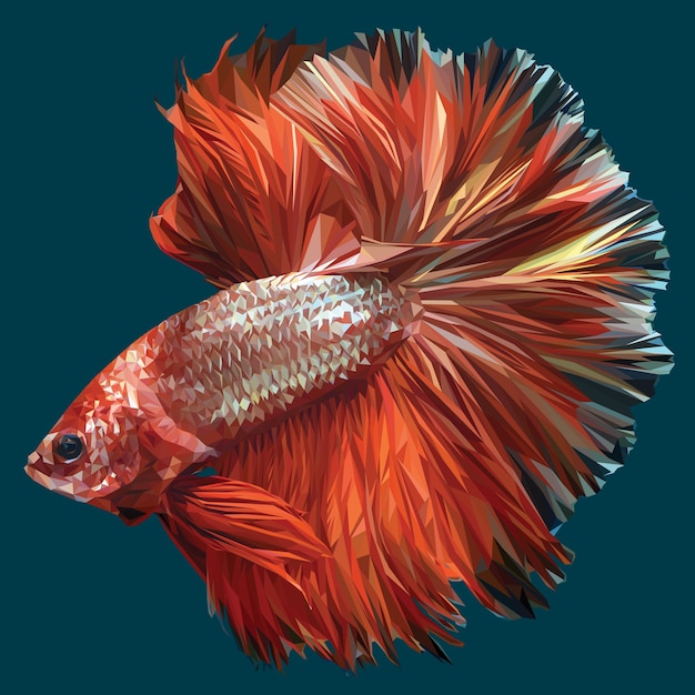 Vecteur illustration polygonale de betta ou de poissons de combat siamois.