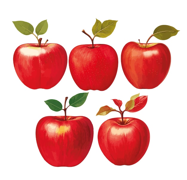 Illustration D'une Pomme Rouge Vintage