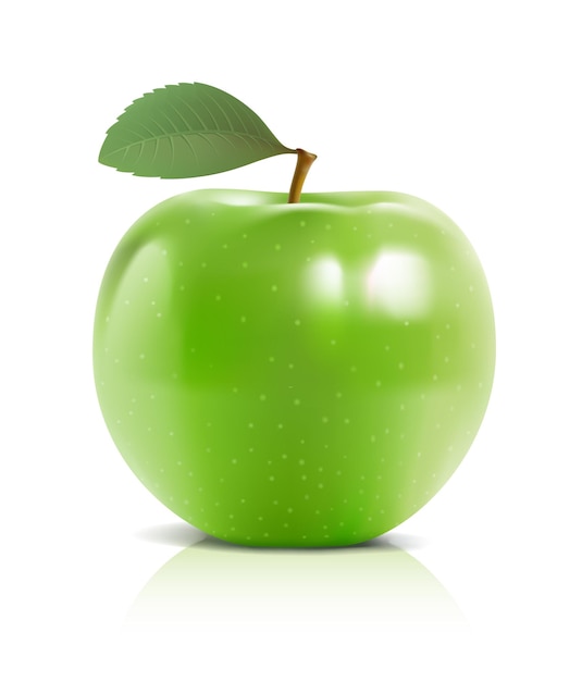 Vecteur illustration de pomme verte mûre avec une petite feuille.