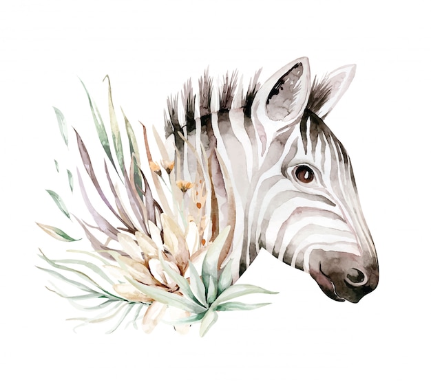 Illustration De Portrait Aquarelle Zèbre Mignon. Animaux Africains Nature Exotique. Animal Sauvage De La Savane