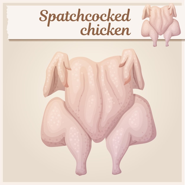 Vecteur illustration de poulet cru spatchcocked icône de vecteur de dessin animé