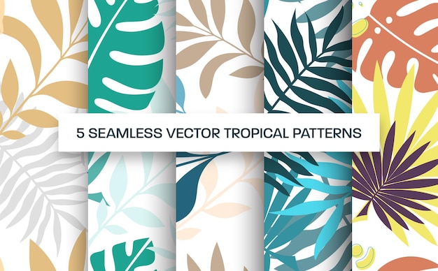 Illustration de présentation de modèle de modèle sans couture de vecteur avec des feuilles tropicales