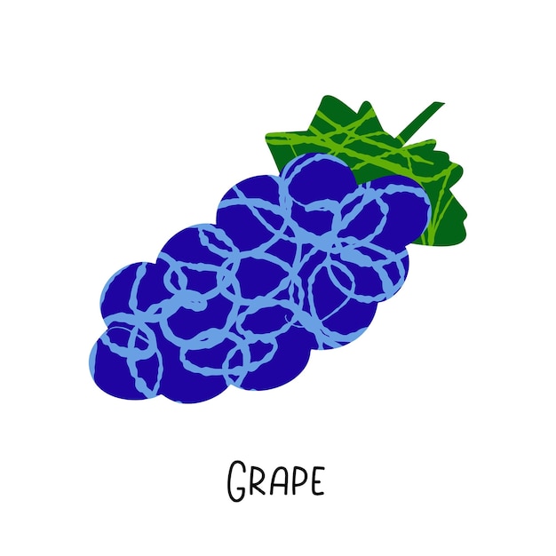 Illustration de raisin bleu avec texture isolé sur fond blanc