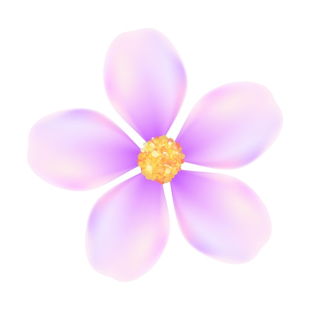 illustration réaliste de fleurs de cerisier sur fond blanc