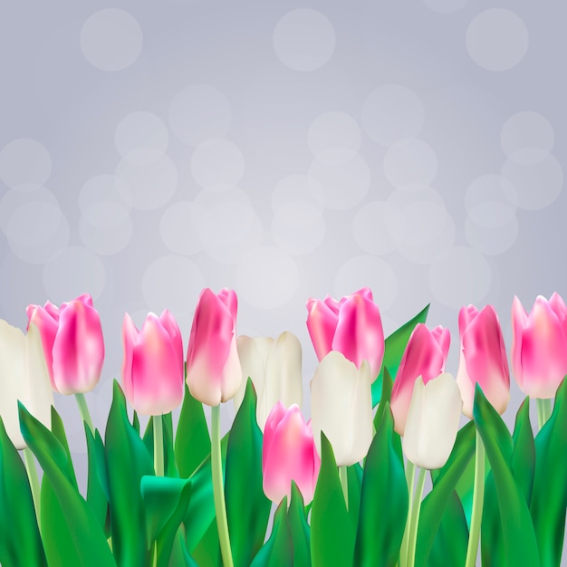 Illustration réaliste fond de tulipes colorées