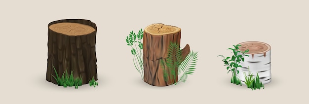 Illustration Réaliste De Souches De Bois