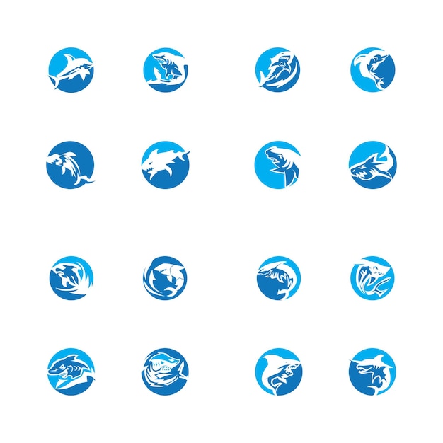 Illustration de requin Logo Template Vector