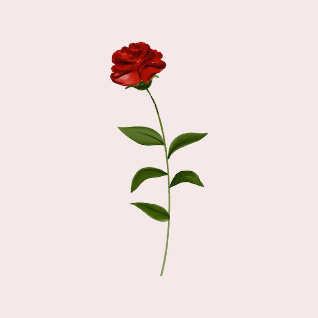 illustration de rose dessinée à la main
