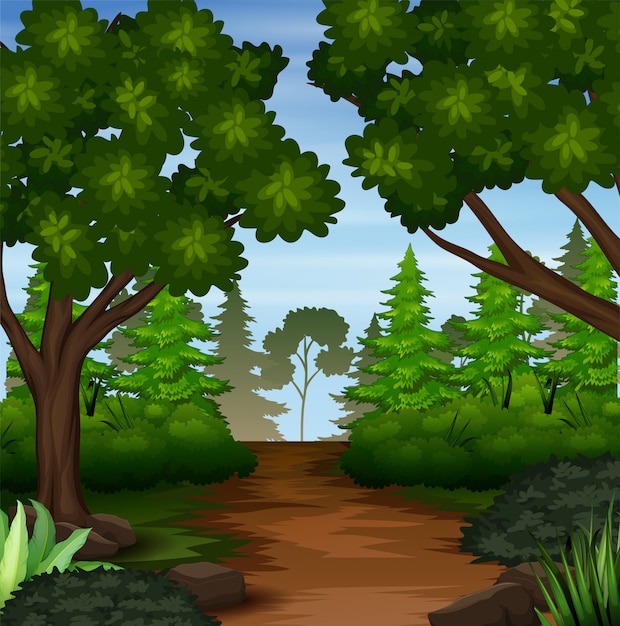 Vecteur illustration de la scène forestière avec chemin de terre