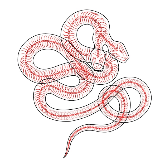Vecteur illustration de serpent de forêt sauvage avec des éléments spatiaux et des plantes éléments magiques idéaux pour l'impression