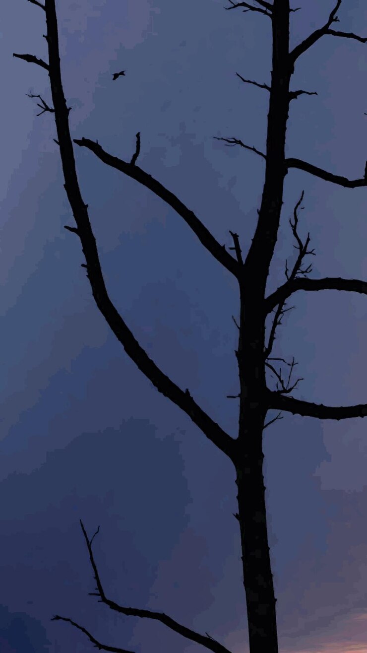 Vecteur illustration de la silhouette d'un arbre effrayant, dessin de dessin animé, œuvre d'art vectorielle