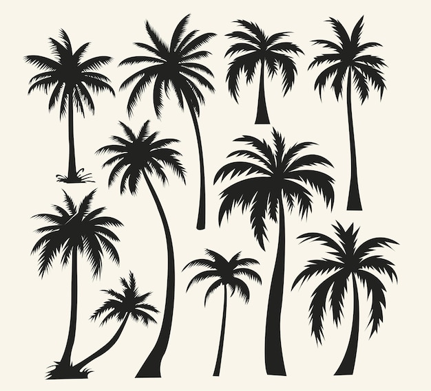 illustration de la silhouette d'un groupe de palmiers