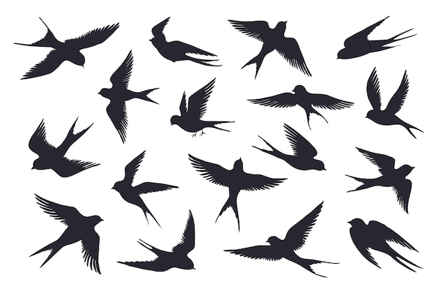 Vecteur illustration de silhouette d'oiseaux volants