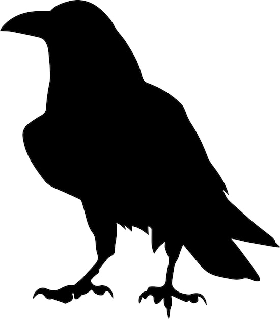 Vecteur illustration de la silhouette vectorielle du corbeau 11