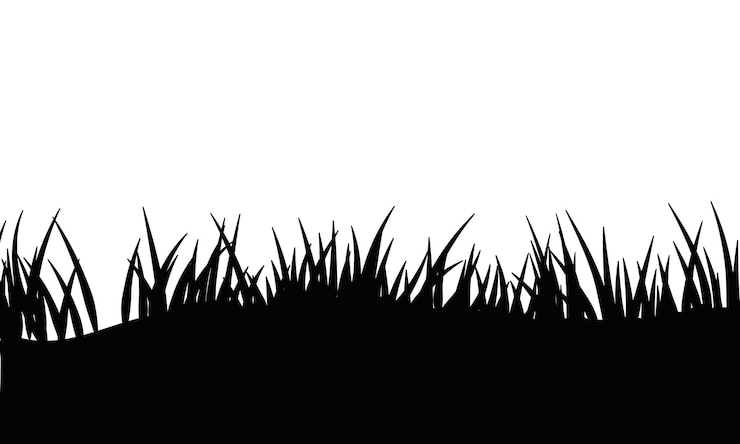 Vecteur illustration de silhouettes de bordures d'herbe noire sur fond blanc