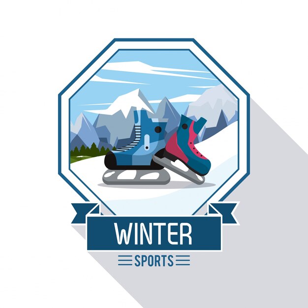 Illustration De Sports Extrêmes Hiver