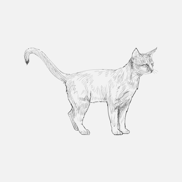 Illustration style de dessin de chat