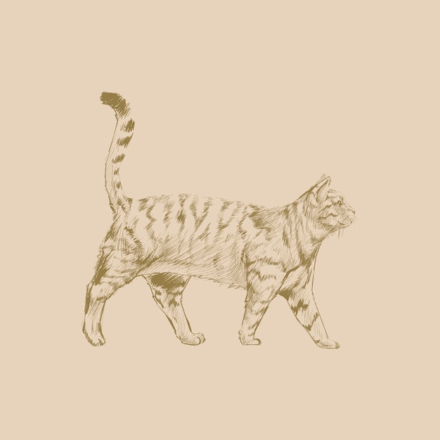 Illustration style de dessin de chat