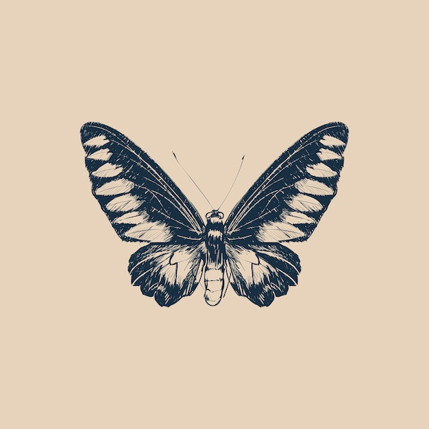 Illustration style de dessin de papillon