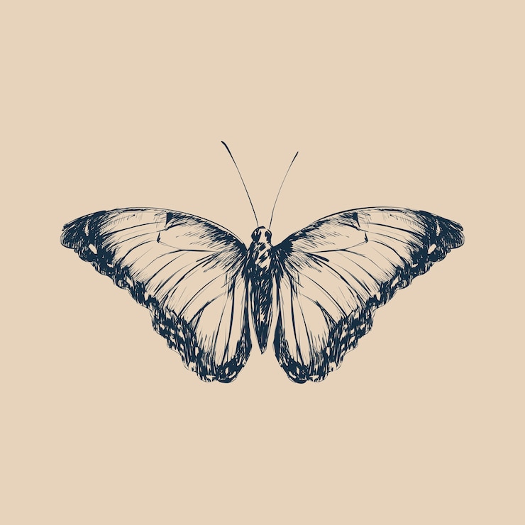 Vecteur illustration style de dessin de papillon