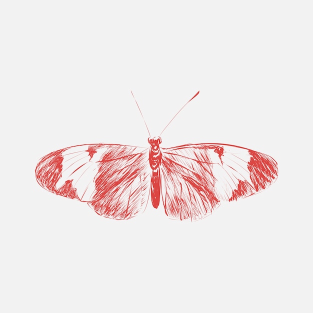 Illustration style de dessin de papillon