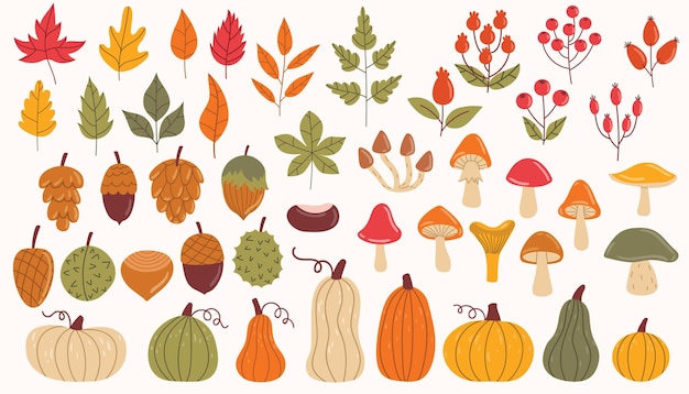 Illustration de style plat mignon avec des éléments d'automne comme des citrouilles de dessin animé des feuilles colorées des champignons