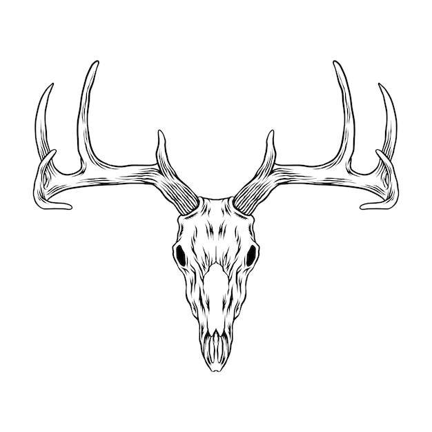 Vecteur illustration tête de cerf